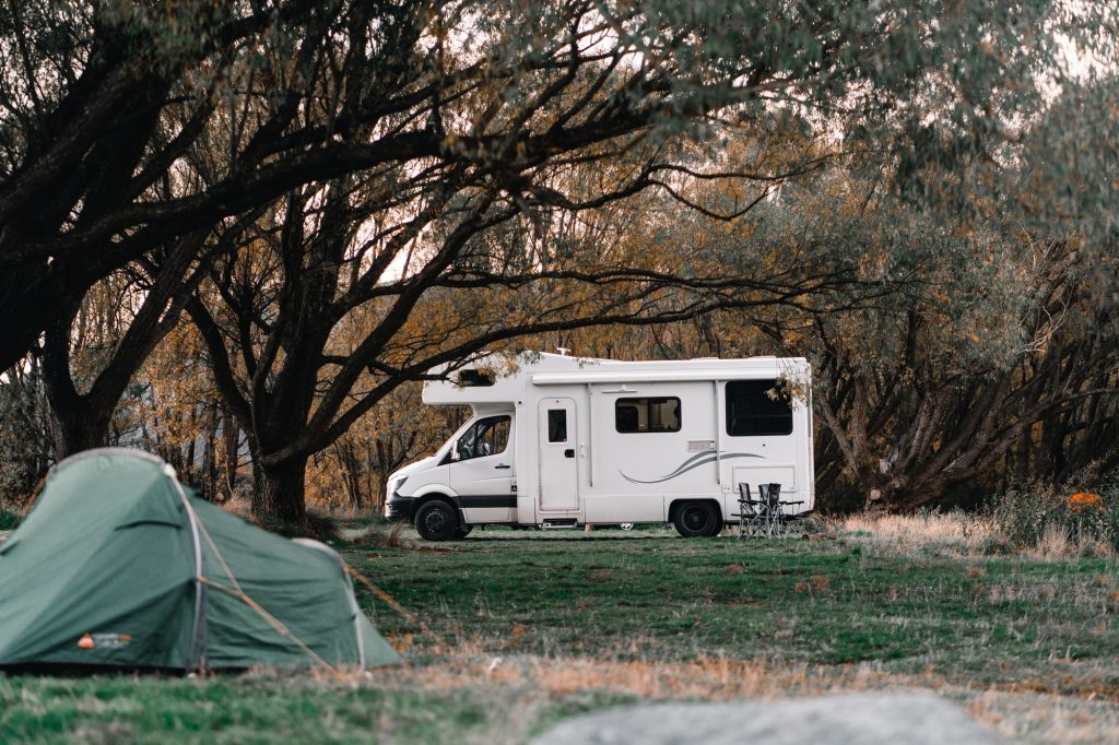 Pet-Friendly Stay at Istanbul Caravan Camp